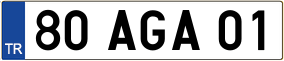 Truck License Plate